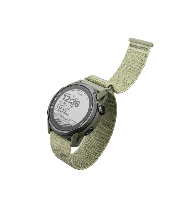 Worn Sage Nylon band