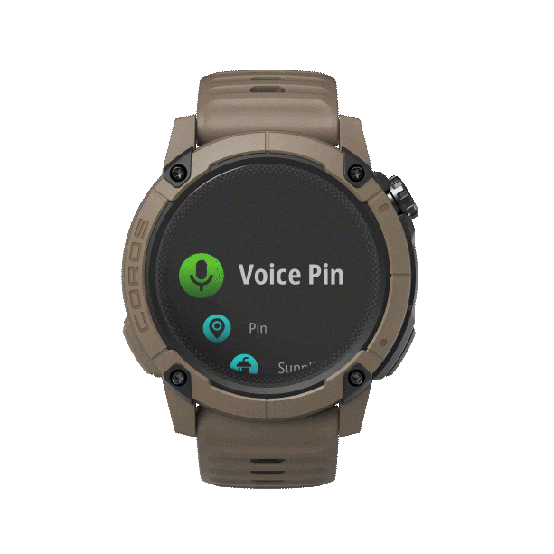 nomad voice pin
